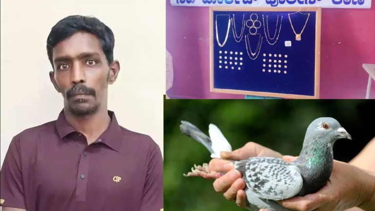 Bengaluru: ‘‘పావురాల’’ సాయంతో దొంగతనం.. ‘‘పరివాల మంజా’’ వెరైటీ చోరీలు..