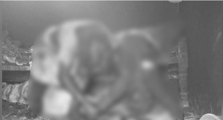 Fire Accident: షార్ట్ సర్క్యూట్‌తో ప్రమాదం.. నిద్రలోనే తల్లీకూతుళ్లు మృతి