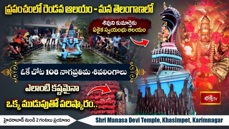 Karimnagar Manasa Devi Temple: తెలుగు రాష్ట్రాల్లో ఏకైక స్వయంభు ఆలయం..