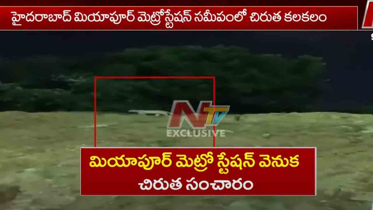 Hyderabad: మియాపూర్‌లో చిరుత సంచారం.. భయాందోళనలో స్థానికులు