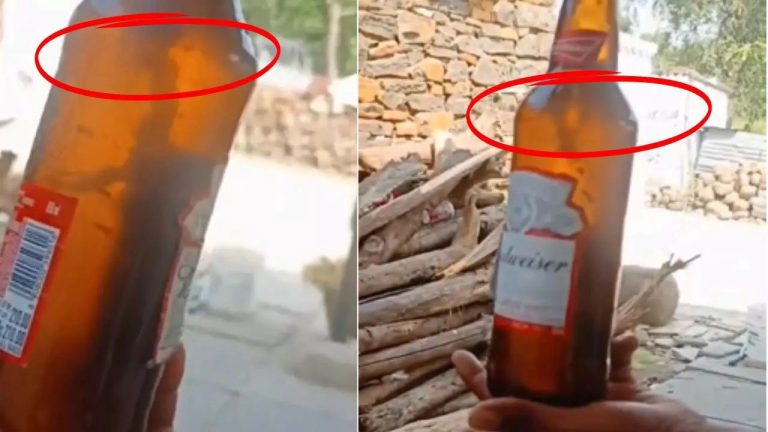 Lizard in Budweiser Beer: బడ్‌వైజర్ బీర్‌లో చనిపోయిన బల్లి.. (వీడియో)