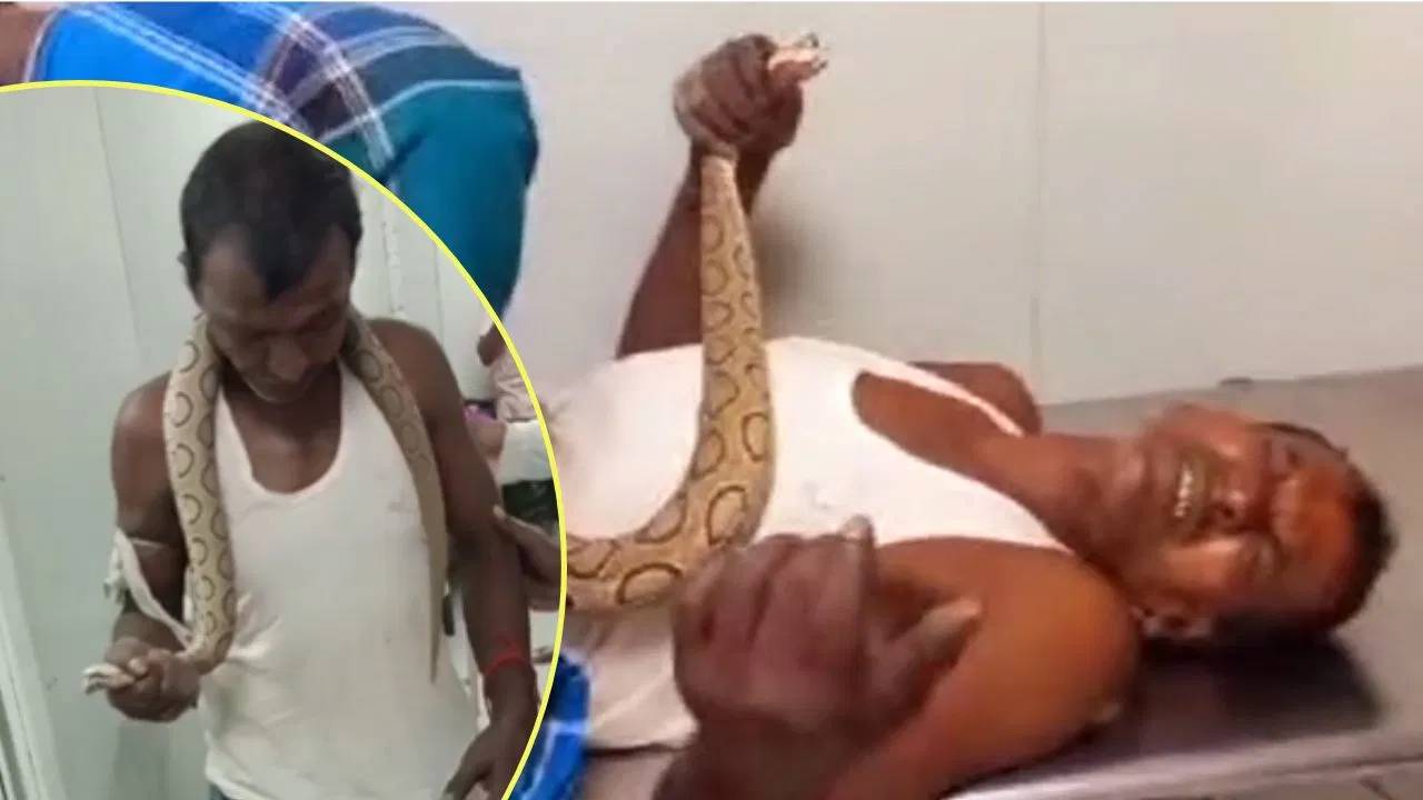 Uttarpradesh : ప్రపంచంలోనే ప్రమాదకరమైన పాము.. దాంతోనే ఆస్పత్రికి వచ్చిన దానికాటుకు గురైన వ్యక్తి