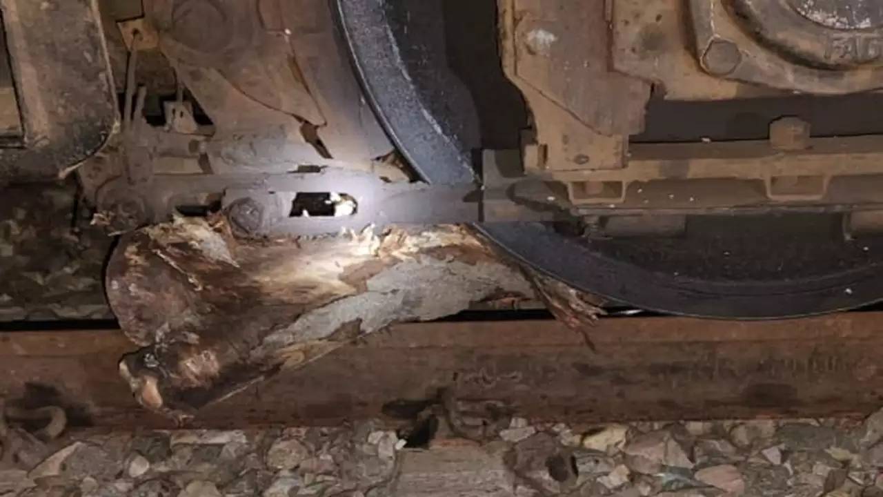 Uttarpradesh : రైలును బోల్తా కొట్టించే కుట్ర.. ట్రాక్ పై రాళ్లు, చెట్ల కొమ్మలు