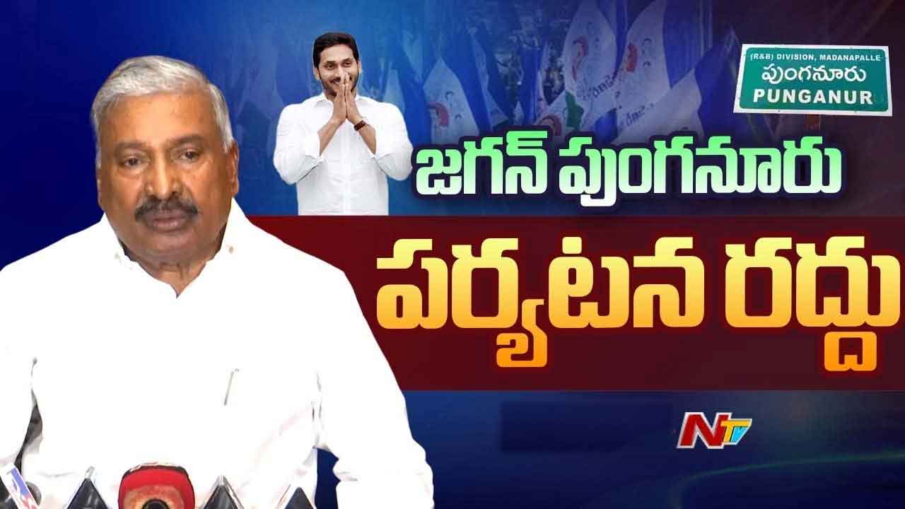 YS Jagan Punganur Visit Cancelled: వైఎస్ జగన్ పుంగనూరు పర్యటన రద్దు.. పెద్దిరెడ్డి ప్రకటన