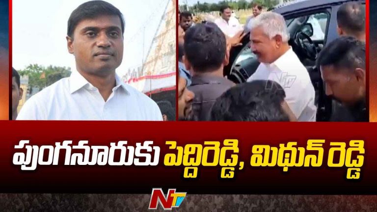 MLA Peddireddy: పుంగనూరులో ఎమ్మెల్యే పెద్దిరెడ్డి, ఎంపీ మిథున్‌ రెడ్డి పర్యటన