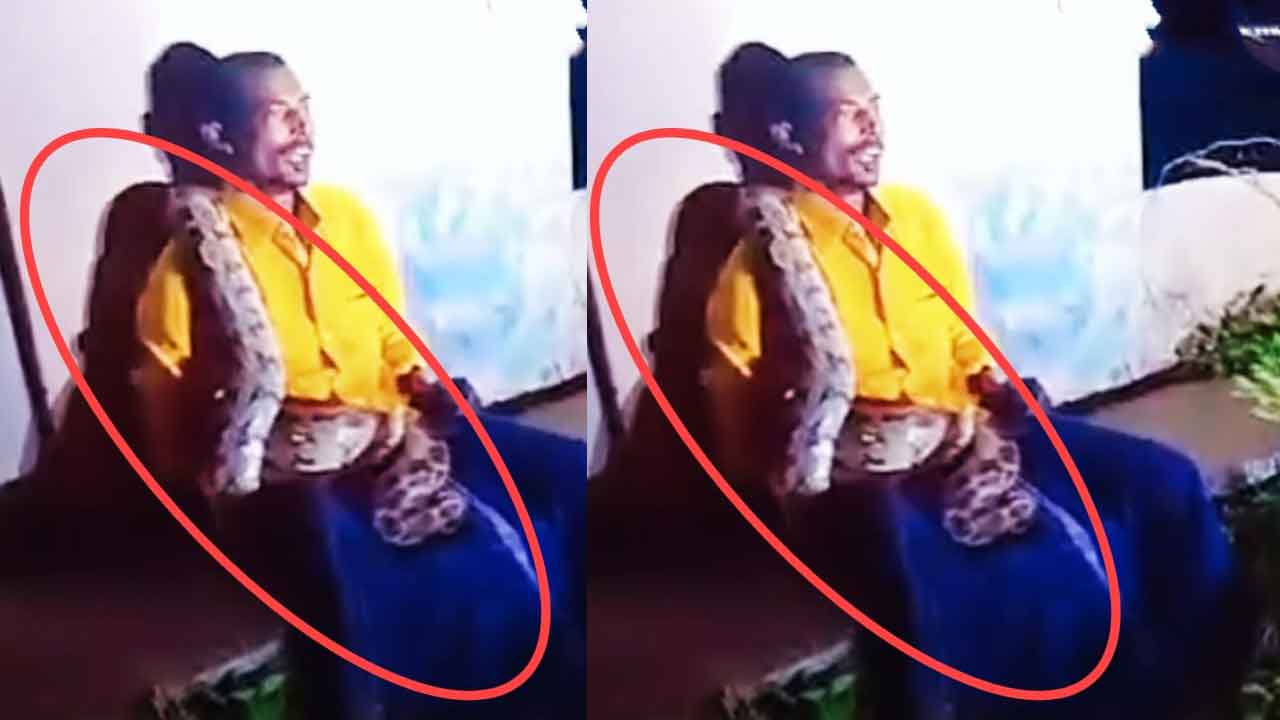 Python on Drunk Man: ఏం తాగావ్‌రా నాయనా..? కొండచిలువ పైకి ఎక్కినా లేవ లేదు..!