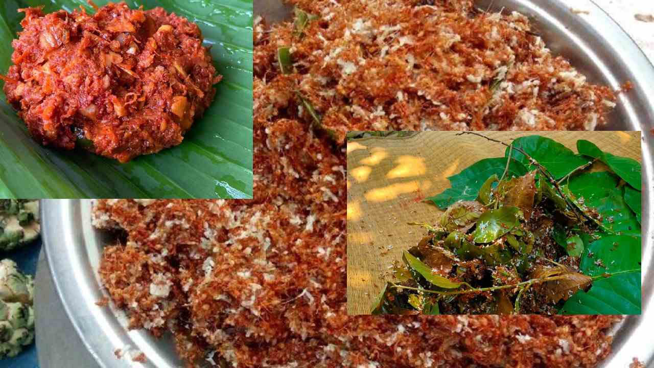 Red ant chutney: ఎర్ర చీమల చట్నీ తిన్నారా? జీఐ ట్యాగ్ సాధించిన ఈ చట్నీలో  పోషకవిలువలు!