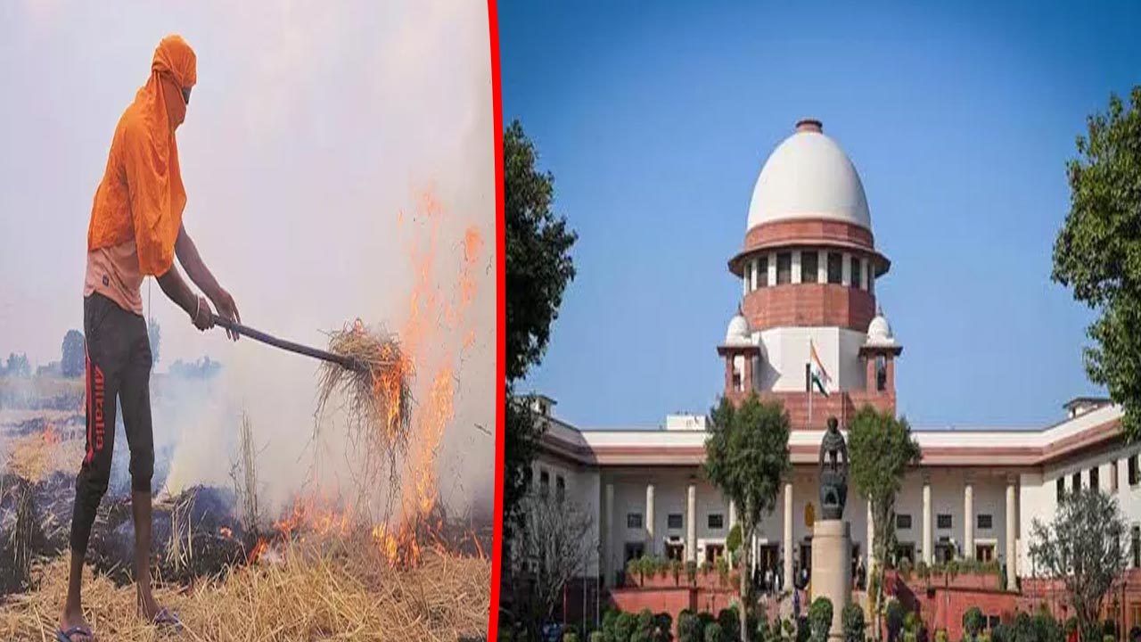 Supreme Court: పంట వ్యర్థాలు తగలబెట్టడంపై విచారణ.. కేంద్రంపై సుప్రీం సీరియస్