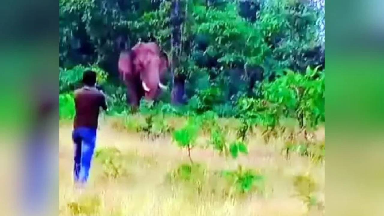 Selfie With Elephant: ఏనుగుతో సెల్ఫీ ప్రయత్నం.. వ్యక్తిని తొక్కి చంపేసింది..
