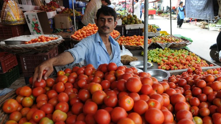 Tomato Price : మళ్లీ మోత మోగిస్తున్న టమాటా ధర.. హైదరాబాద్ లో కిలో రూ.100