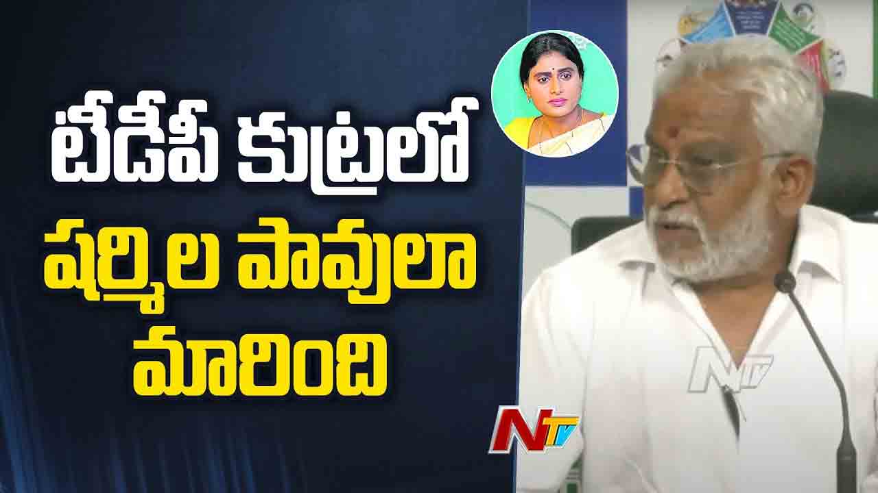 YV Subba Reddy: టీడీపీ కుట్రలో షర్మిల పావులా మారింది..