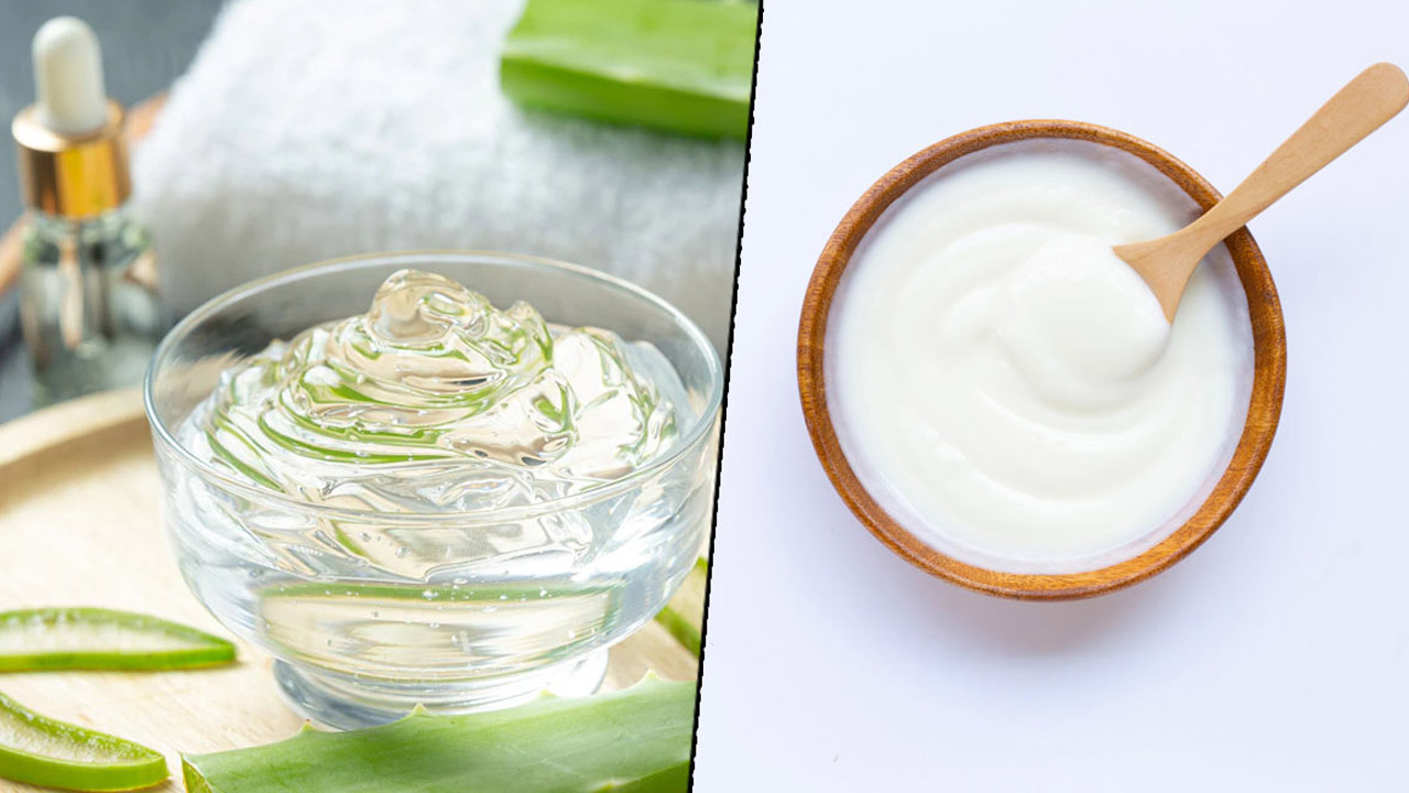 Aloe vera-Curd: కలబందను పెరుగులో కలిపి రాసుకోండి.. ఈ మార్పులు గ్యారెంటీ..!