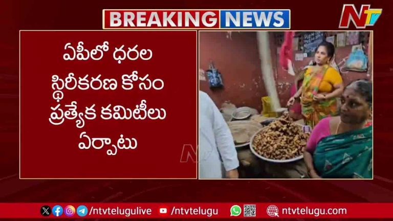 AP Govt: ఏపీలో ధరల స్థిరీకరణ కోసం ప్రత్యేక కమిటీలను ఏర్పాటు చేసిన ప్రభుత్వం..