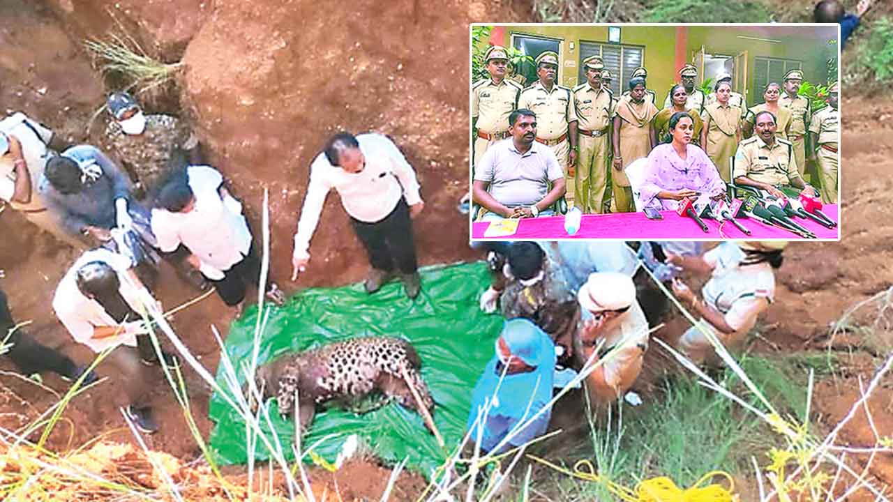 Leopard Case: చిరుత మృతి కేసులో పురోగతి.. పోస్టుమార్టం రిపోర్ట్‌లో కీలక విషయాలు..