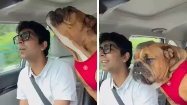 Dog Singing Video: ఇంగ్లీష్‌ పాట పాడే కుక్కని చూశారా? ఇక్కడ చూడండి..