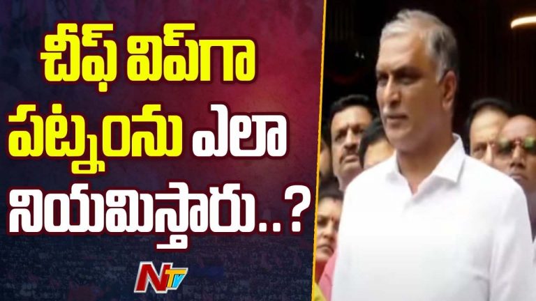 Harish Rao: ఎదుటి పార్టీ వారిని చీఫీ విప్ చేస్తే.. ఏ పార్టీకి విప్ జారీ చేస్తాడు..?