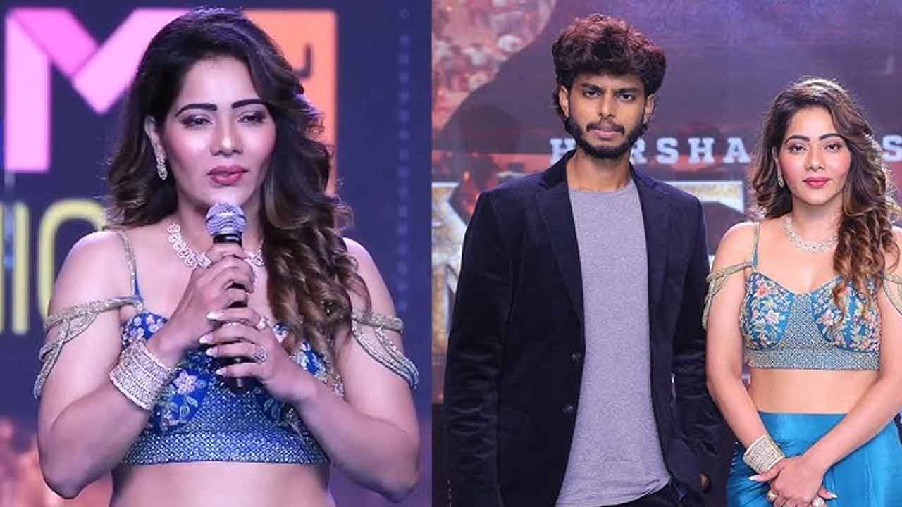 Harsha Sai Case : ‘మెగా’ సినిమా కాపీ రైట్స్ కోసమే బాధితురాలితో ప్రేమ, పెళ్లి అంటూ మోసం