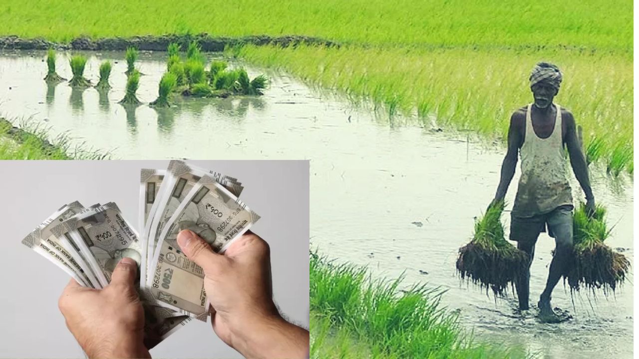 Agricultural Development: లక్ష కోట్లతో వ్యవసాయ అభివృద్ధి పథకాలకు ఆమోదం!