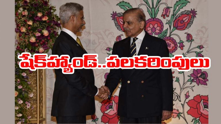 Jaishankar-Pakistan PM: జైశంకర్‌కు పాక్ ప్రధాని షరీఫ్‌ షేక్‌హ్యాండ్.. పలకరింపులు