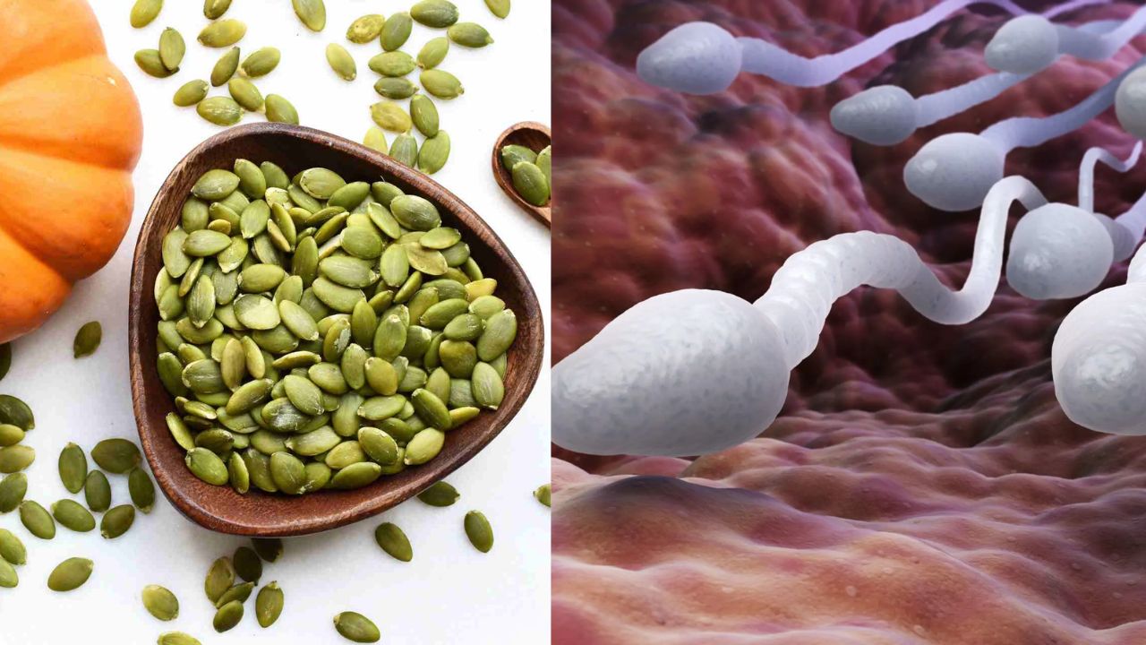 Pumpkin Seeds: పురుషులలో సంతానోత్పత్తి మెరుగుపడాలంటే వీటిని వాడాల్సిందే