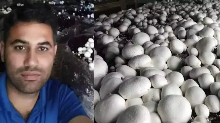 Success Story: ఎంబీఏ పూర్తి.. ఇంట్లోనే పుట్టగొడుగుల పెంపకం.. ఏటా రూ. 90 లక్షలు సంపాదన!