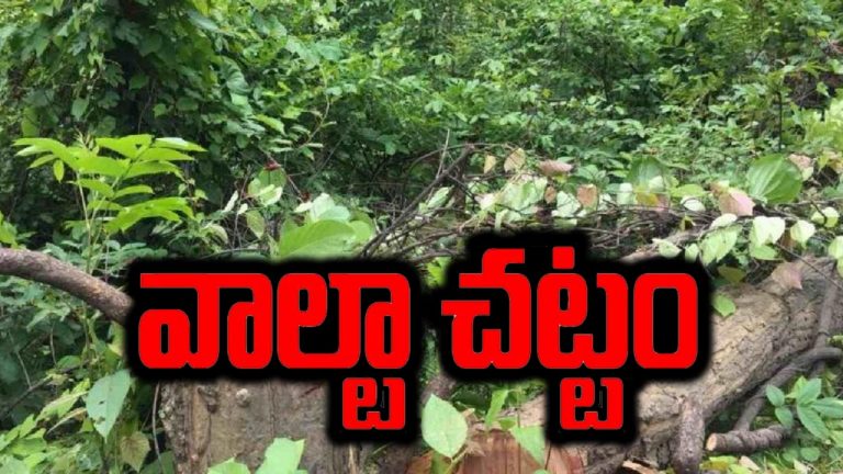 Hyderabad: వాల్టా చట్టానికి అధికారులు పదును.. చెట్టు నరికితే భారీ జరిమానాలు..