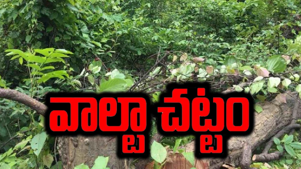 Hyderabad: వాల్టా చట్టానికి అధికారులు పదును.. చెట్టు నరికితే భారీ జరిమానాలు..