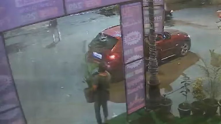 Noida: బీఎండబ్ల్యూ కారులో వచ్చి.. పూల కుండీ దొంగిలించిన మహిళ (వీడియో)