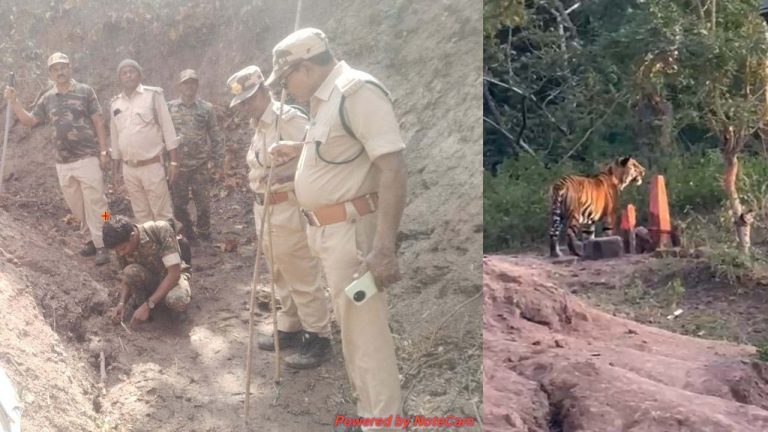 Komaram Bheem: తెలంగాణ సరిహద్దు దాటిన మరో పులి..