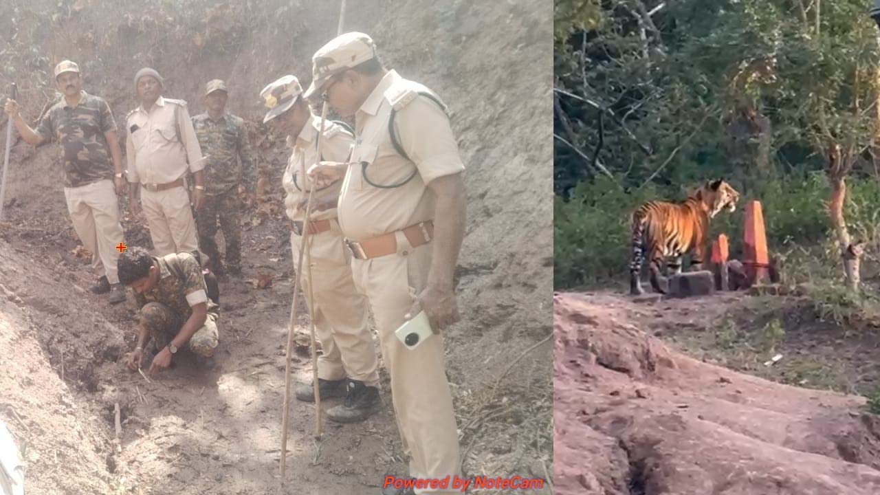 Komaram Bheem: తెలంగాణ సరిహద్దు దాటిన మరో పులి..