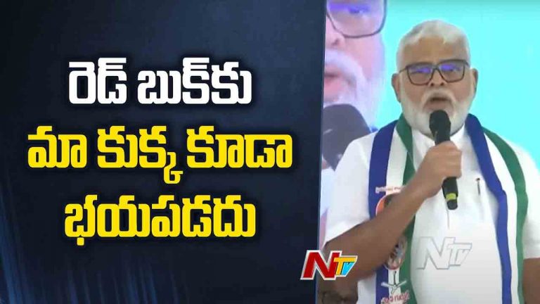 Ambati Rambabu: రెడ్ బుక్⁭పై మాజీ మంత్రి తీవ్ర విమర్శలు..