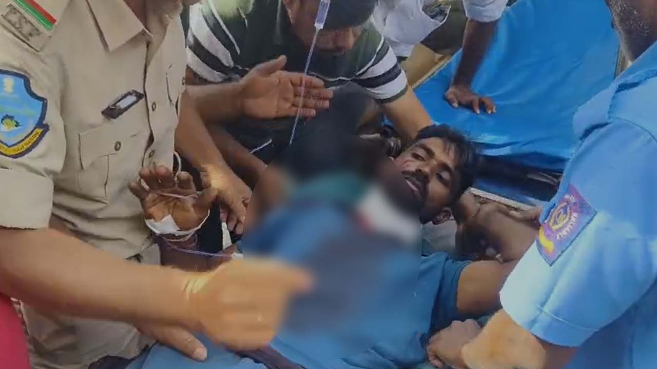 Asifabad: ఆసిఫాబాద్ జిల్లాలో మరోసారి పెద్దపులి దాడి.. 15 గ్రామాల్లో హై అలర్ట్..