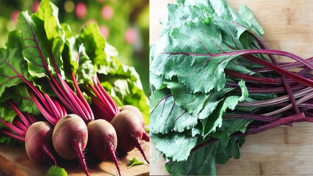 Beetroot Leaves