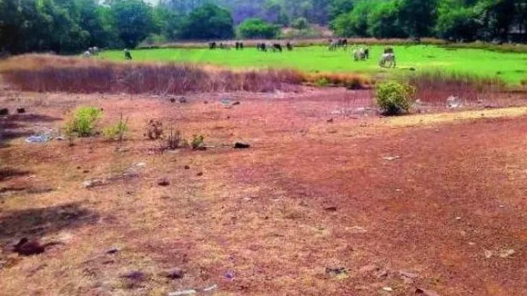 Bhudaan Lands: డిసెంబర్ 6న హాజరు అవ్వండి .. ఎమ్మార్వోతో పాటు నలుగురికి నోటీసులు..