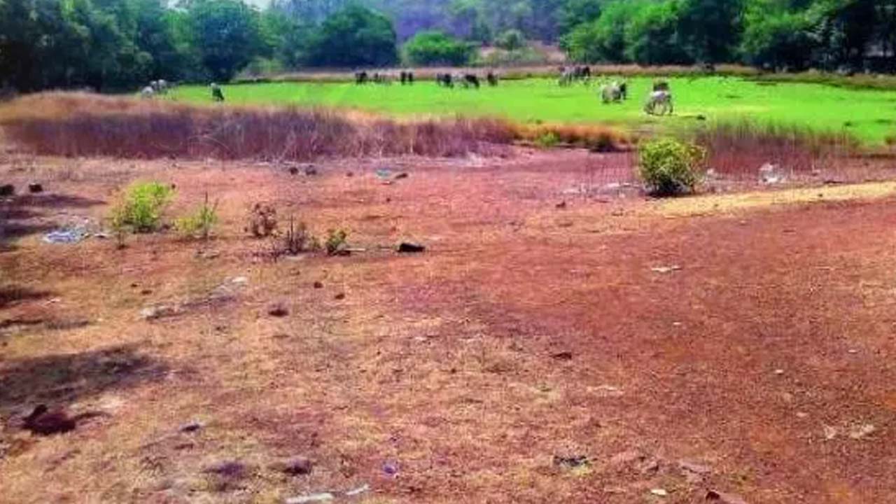 Bhudaan Lands: డిసెంబర్ 6న హాజరు అవ్వండి .. ఎమ్మార్వోతో పాటు నలుగురికి నోటీసులు..