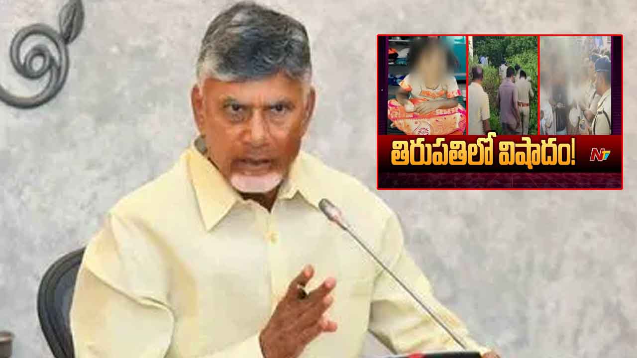 CM Chandrababu: వడమాలపేట ఘటనపై సీఎం దిగ్భ్రాంతి.. కఠిన చర్యలకు ఆదేశాలు