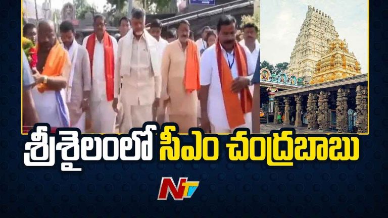 CM Chandrababu: శ్రీశైల మల్లన్నను దర్శించుకున్న సీఎం చంద్రబాబు