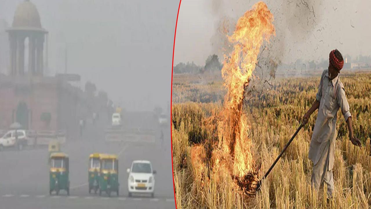 Centre Govt: పంట వ్యర్థాలను దగ్ధం చేస్తే భారీ జరిమానా వేస్తాం..