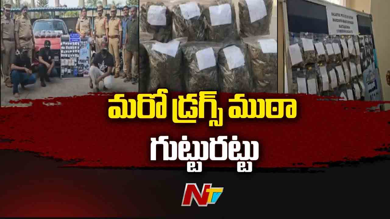 Drug Peddlers Arrest: రాచకొండ కమిషనరేట్ పరిధిలో డ్రగ్స్ ముఠా గుట్టుర
