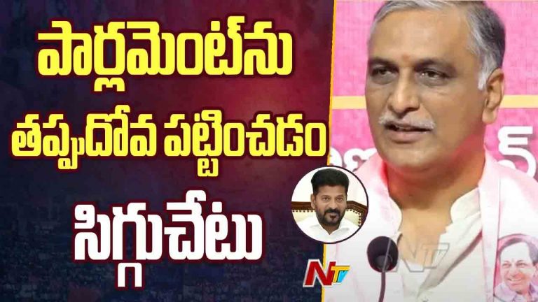 Harish Rao: కేంద్రాన్ని, పార్లమెంట్‌ను తప్పుదోవ పట్టించారు.. ప్రభుత్వంపై విమర్శలు