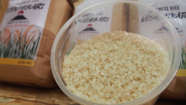 Most Expensive Rice: భూమి మీద అత్యంత ఖరీదైన బియ్యం ఎక్కడ పండిస్తారంటే? ఒక్క కిలో ధర ఏకంగా వేలల్లో..