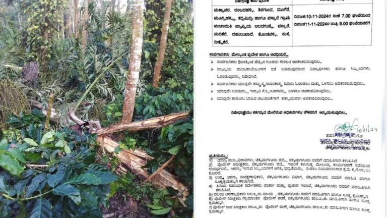 Karnataka : కర్ణాటకలోని గ్రామాల్లో స్కూళ్లు, కాలేజీలకు సెలవులు.. కారణం ఇదే ?