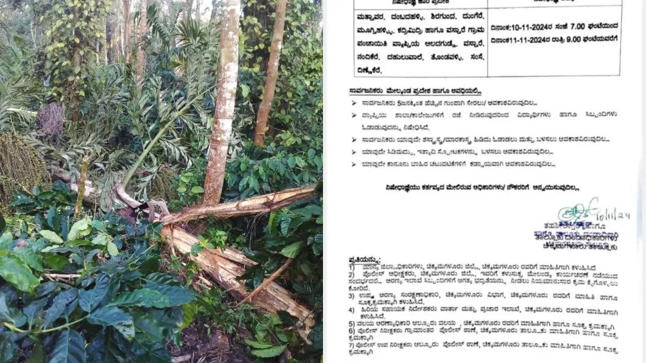 Karnataka : కర్ణాటకలోని గ్రామాల్లో స్కూళ్లు, కాలేజీలకు సెలవులు.. కారణం ఇదే ?