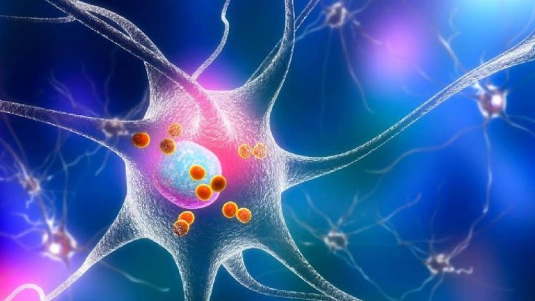 New Study: ‘‘జ్ఞాపకాలు మెదడుకు మాత్రమే పరిమితం కావు’’.. శరీరంలో ఇతర భాగాల్లో మెమోరీ ఫంక్షన్స్..