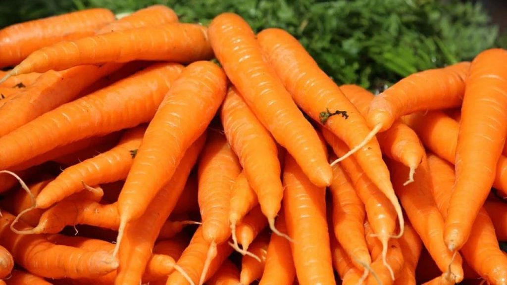 Organiccarrots