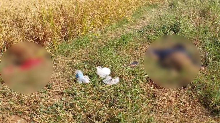 Rajanna Sircilla Crime: సిరిసిల్లలో దారుణం.. దంపతుల అనుమానస్పద మృతి..