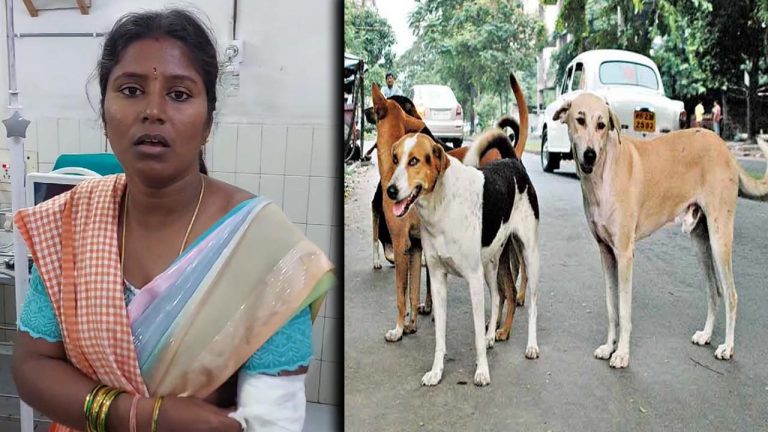 Rajanna Sircilla: జాతరలో కుక్క స్వైరవిహారం.. 21 మందిపై దాడి..