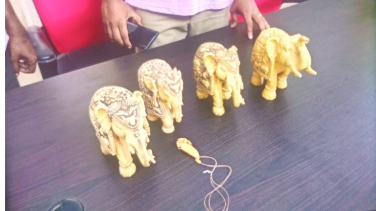 Smuggling Dolls: ఏడు కోట్లు విలువైన ఏనుగు దంతాలతో తయారు చేసిన బొమ్మలు స్వాధీనం