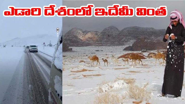 Snowfall: ఎడారి దేశంలో భారీ హిమపాతం.. ఆశ్చర్యపోతున్న శాస్త్రవేత్తలు