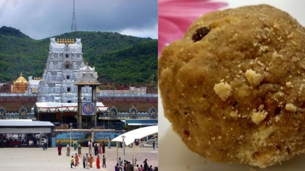 Tirupati Laddu Prasadam